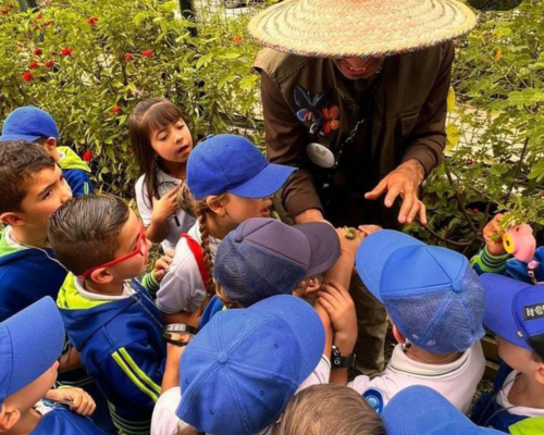 Servicio de Asesoría en Colegios
