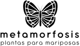 metamorfosis