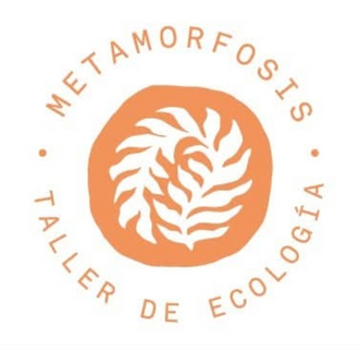 Metamorfosis - Taller de Ecología